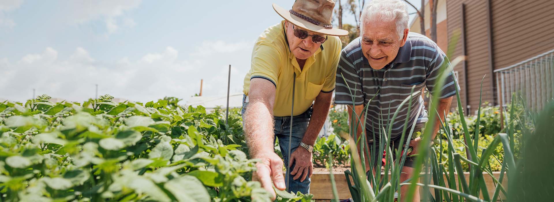 Nieuwe contacten opdoen